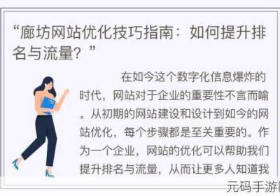 seo短视频网页入口引流 seo短视频网页入口引流网址