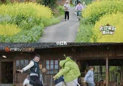 蘑菇屋首播笑岔气 蘑菇屋百科