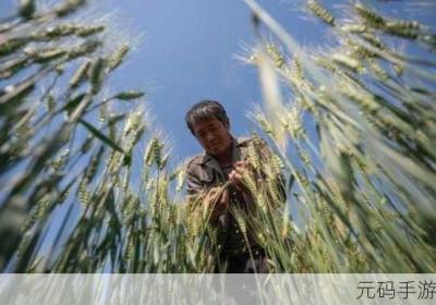 亚洲一线产区二线产区的不同差异