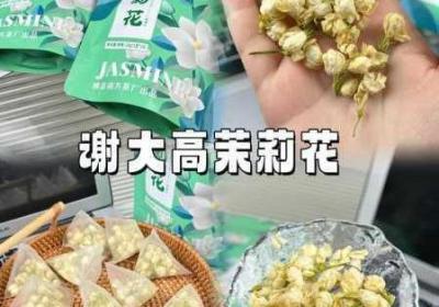 茉莉花看片影视锦集版本大更新 茉莉花影视剧