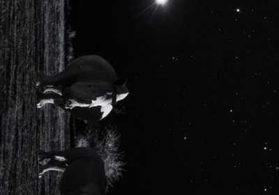 星空无限MV国内剧梁佳的表现怎么 星空无限是什么