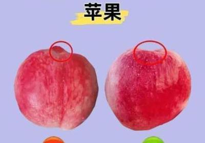豆奶富二代榴莲草莓丝瓜 富二代豆奶污版app