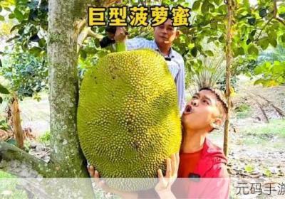 大菠萝福建导航入口 福建导航福建大菠萝官网下载