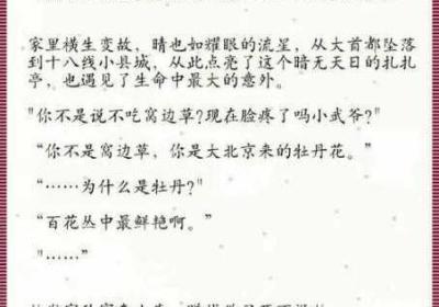 嫁向糙汉以后1.V1书香