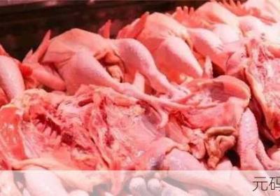 超级肉禽系统体验 超级食肉