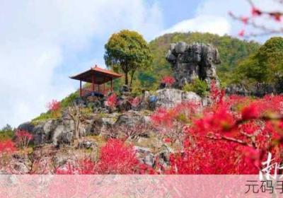 蜜桃视频在线观看不收费网址入口 星辰视频在线观看免费观看