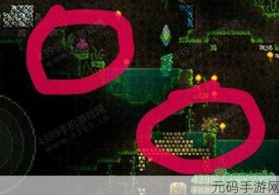 泰拉瑞亚魅力花的神奇力量和实用价值全分析 泰拉瑞亚1.2花后攻略