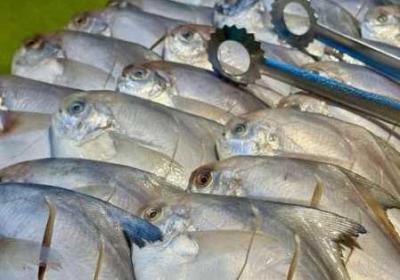 乌克兰XXXXXLmedjyf 乌克兰地图中文版全图