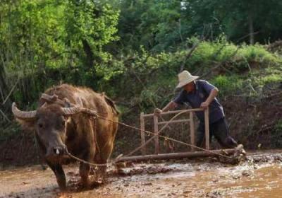 情侣的一百种插秧法表示这里只有精品发文 情侣的一百种插秧图片