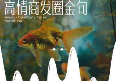 母亲每日晚上都睡不着觉 母亲每晚都要挂块布