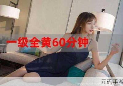 国内午夜精品一区二区入口故障已经修复