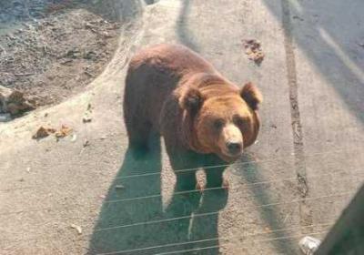 几厘米可以让女生哭 11厘米可以让女生