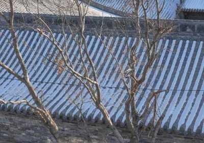 大胆人体艺术 23大但人文艺术