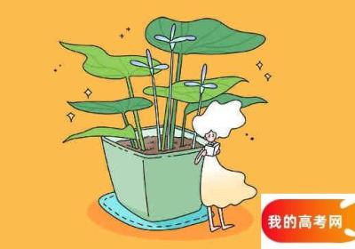 提前批学校与专业有哪些 提前批学校专业录取规则是什么