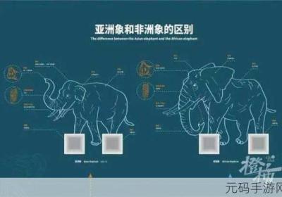 x7x7任意噪入口直达大象 x7x7任意噪入口直达大象图片