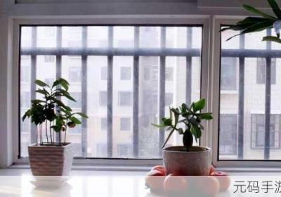 小明的母亲与李阿姨去同一水果店 小明与他妈妈