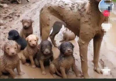 宝宝下面都湿透了还嘴硬疼咋回 宝宝下面有湿疹怎么办