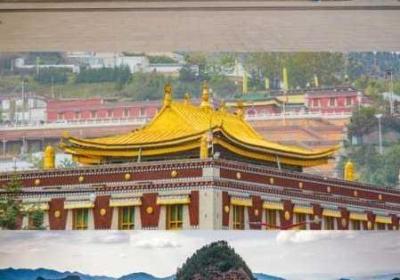 泰拉瑞亚苔原鳟鱼的神奇藏身之处大揭晓 泰拉瑞亚苔原鳟鱼怎么钓?