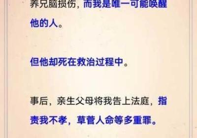 双龙1v2养兄的剧情 双龙完小