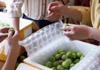 不收费的行情站入口 不收钱的网站