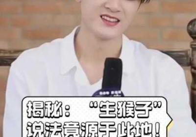 两人生猴子软件 一起生猴子