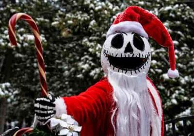 狐狸这种动物为何总能引发人类的复杂情感